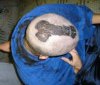 dick_hair_cut.jpg