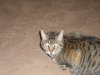 DSCF0202.JPG