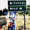 College-of-weed.jpg