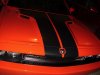 DSC00935.JPG