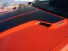 DSC03433.jpg