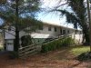 mutt house 008.jpg