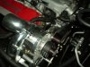 Picture or Video 293.JPG