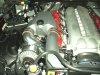 Picture or Video 302.JPG
