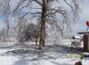 Copy of 100_0827.JPG