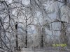 Copy of 100_0829.JPG