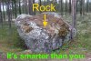 rocksmart1.jpg