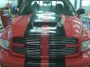 Front_stripes.jpg