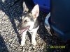 100_0769.jpg