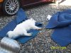 100_0767.jpg