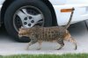 DSC_0295.JPG
