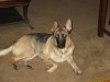 IMG_0005a.jpg
