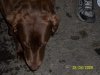 100_0817.jpg
