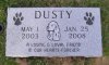 dusty 100.jpg