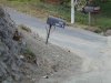 DSCN1040.JPG