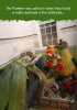 vegetable-image005.jpg