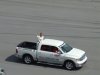 TALLADEGA SUPERSPEEDWAY 2008 145.jpg