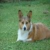 Copy of 2004_0813Fannie0041.JPG