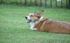 2004_0813Fannie0043.jpg