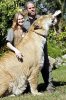 liger3.jpg