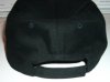 Viper Cap backview.JPG