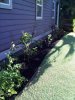 sideyard june09.JPG