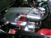 7-25-09 031.jpg