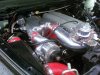 7-25-09 029.jpg