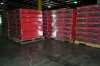 DCP_1477.JPG