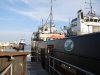 DSC00563small.jpg