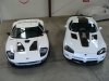 DSC04530.jpg