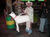 Sheepguy.jpg