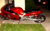 orange busa 2.jpg
