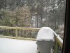 IMG_4424.JPG