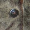 FurCoatButton A.jpg