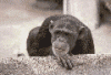 !cid_F2C1052BCEA1419DB00BF953C7F890DF@PCvanDeWulfke.gif