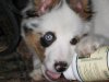 All pictures 105.jpg