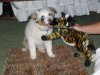IMG_0055.JPG