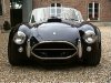cobra6.jpg