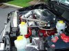 DSC00077.JPG