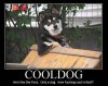 !cid_E412BC66A01349F4B08380D2A8622148@xpc.jpg