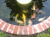 2010-01-31 16.56.17.jpg