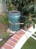 2010-01-31 16.57.33.jpg