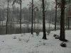 Zi6_0242.JPG
