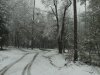 Zi6_0246.JPG