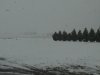Zi6_0249.JPG