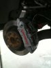Picture 003.jpg
