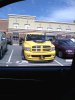 Yellow Fever.jpg