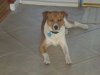buddy 1.jpg