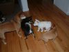DSCF0031.JPG